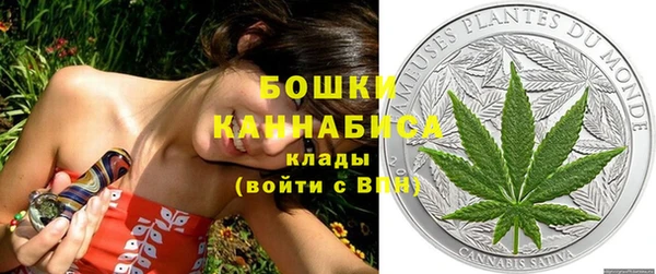a pvp Аркадак