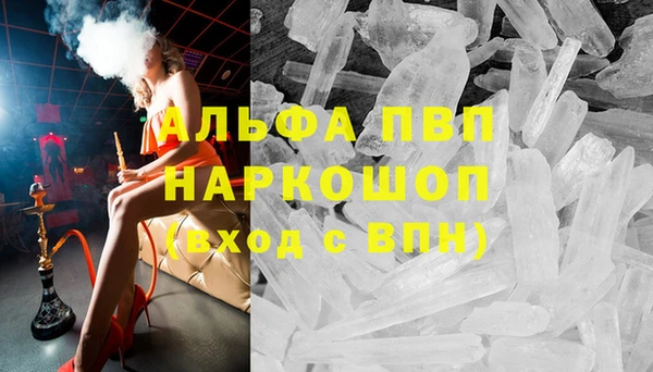a pvp Аркадак