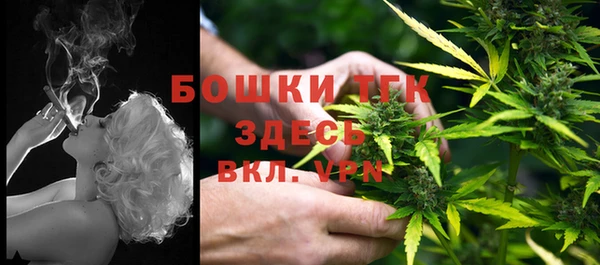a pvp Аркадак