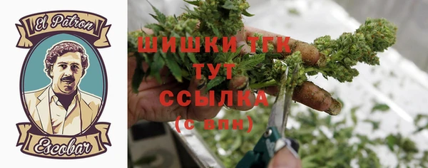 винт Арсеньев