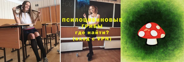 винт Арсеньев