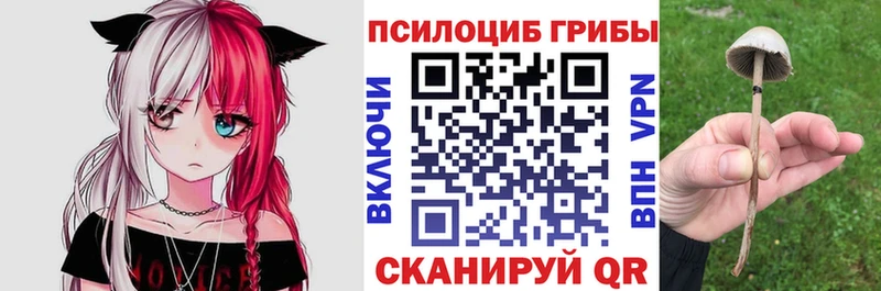 Галлюциногенные грибы мухоморы  наркота  Хотьково 