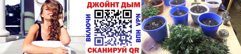 наркошоп  Хотьково  блэк спрут ссылки  МАРИХУАНА White Widow 